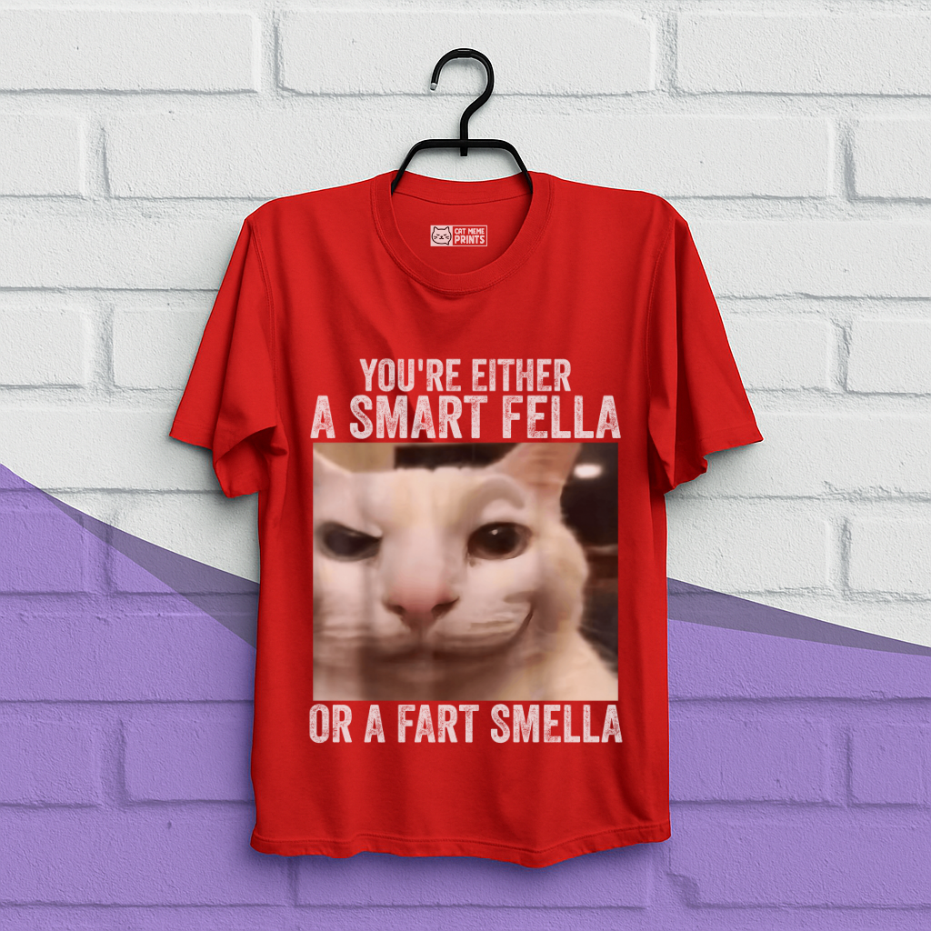 You're Either a Smart Fella or a Fart Smella T-Shirt