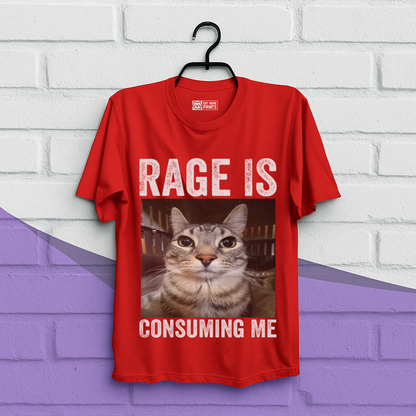 Rage is Consuming Me Cat Meme T-Shirt