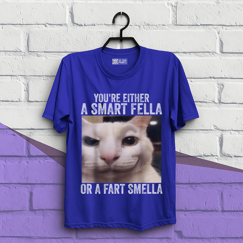 You're Either a Smart Fella or a Fart Smella T-Shirt