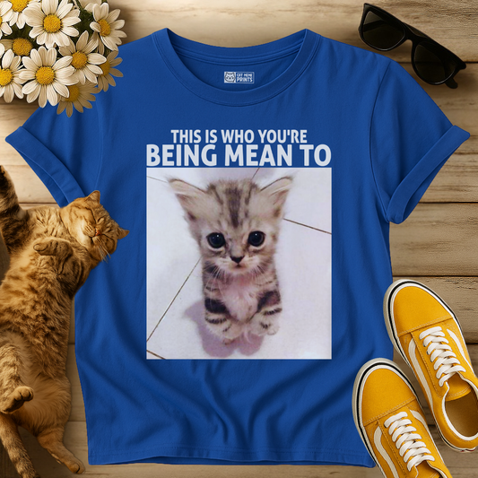 This Is Who You're Being Mean To T-Shirt