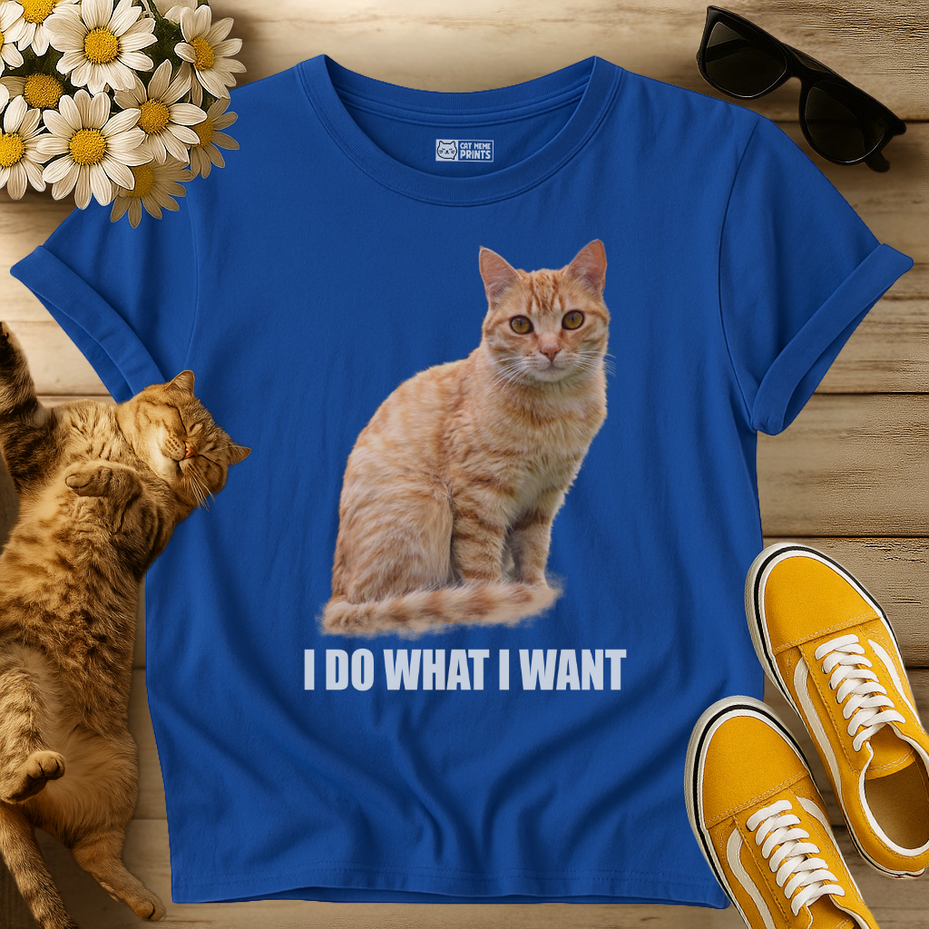 I Do What I Want T-Shirt