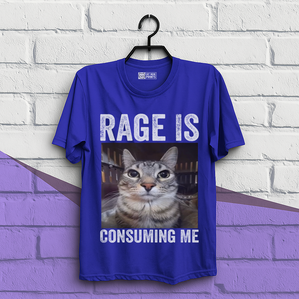 Rage is Consuming Me Cat Meme T-Shirt