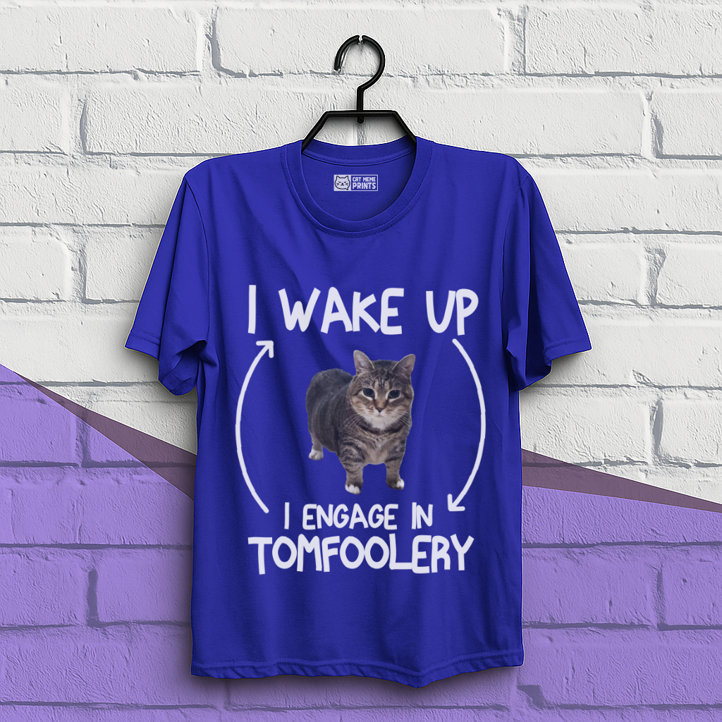 I Wake Up I Engage In Tomfoolery T-Shirt