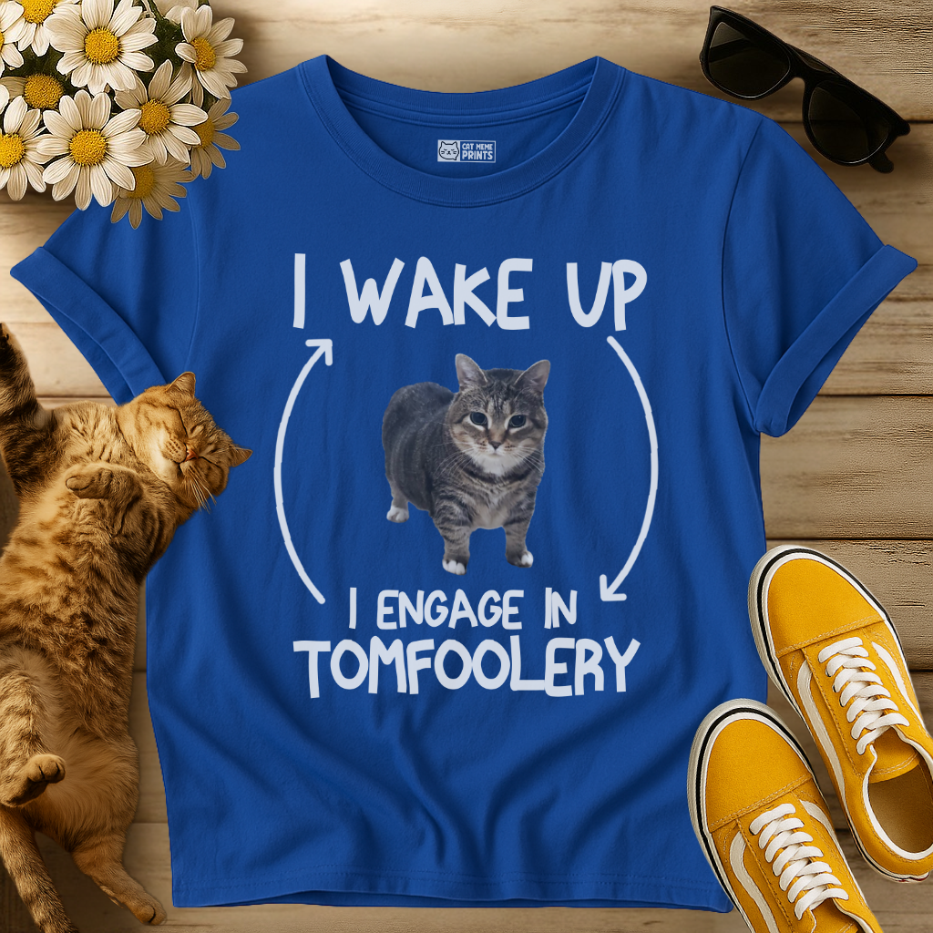 I Wake Up I Engage In Tomfoolery T-Shirt