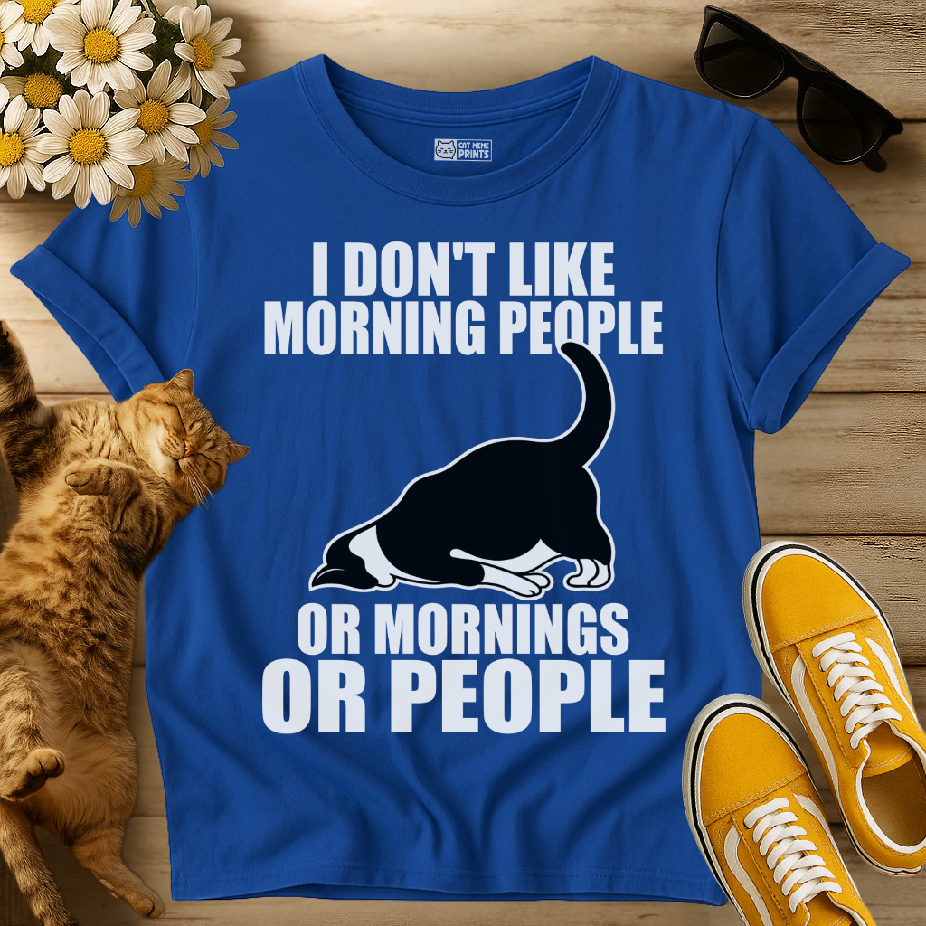 I Don't Like Morning People Or Mornings Or People T-Shirt