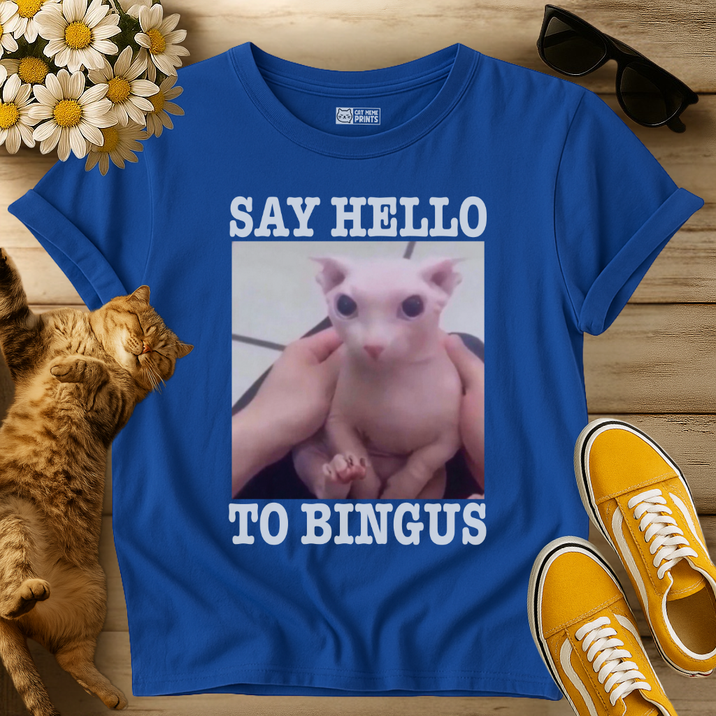 Say Hello To Bingus T-Shirt