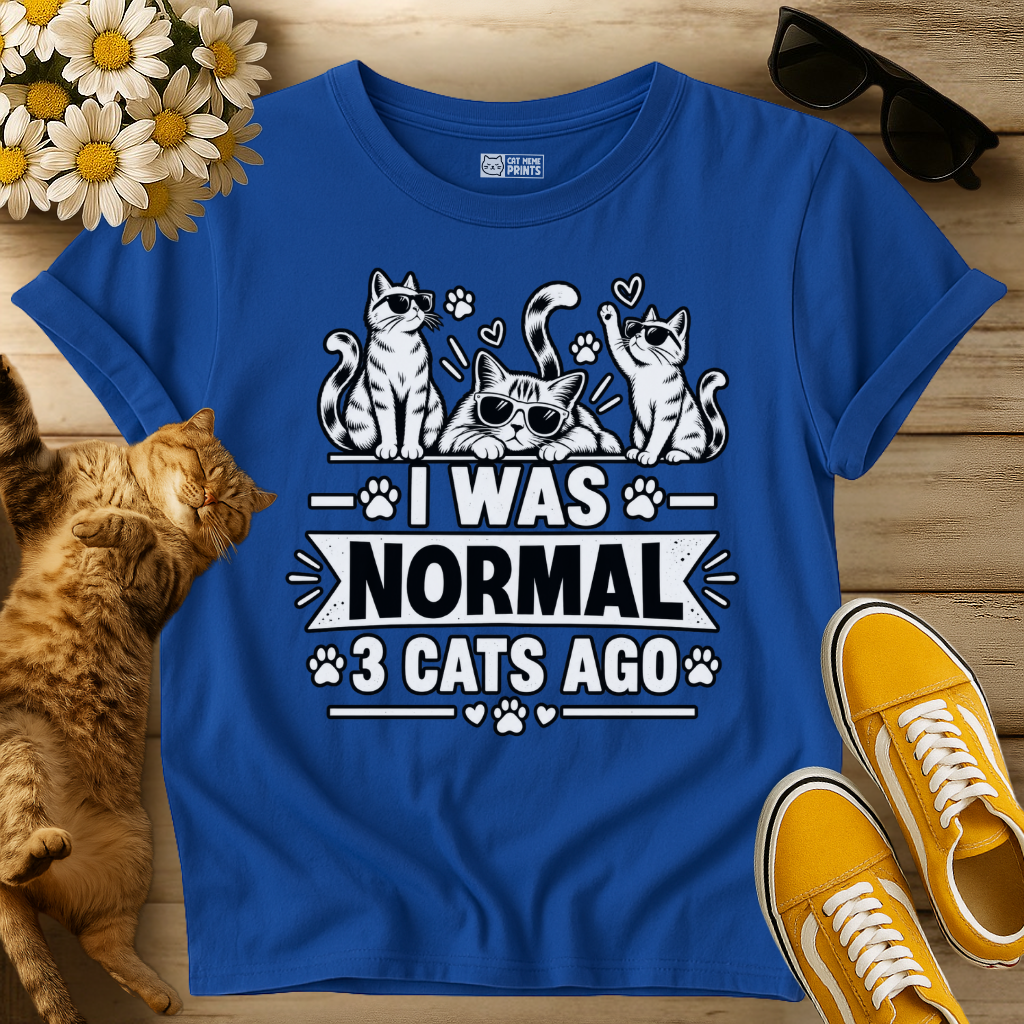 I Was Normal 3 Cats Ago T-Shirt