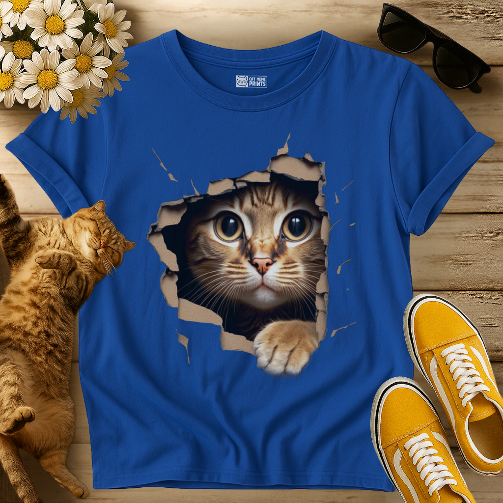 Cute Cat Looks From Torn Fabric T-Shirt