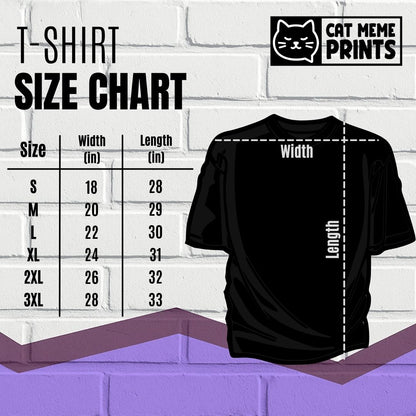 Cute Cat Looks From Torn Fabric T-Shirt
