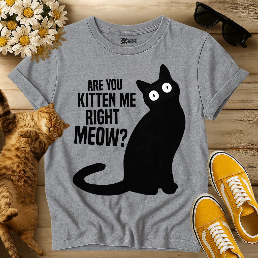 Are You Kitten Me Right Meow? T-Shirt
