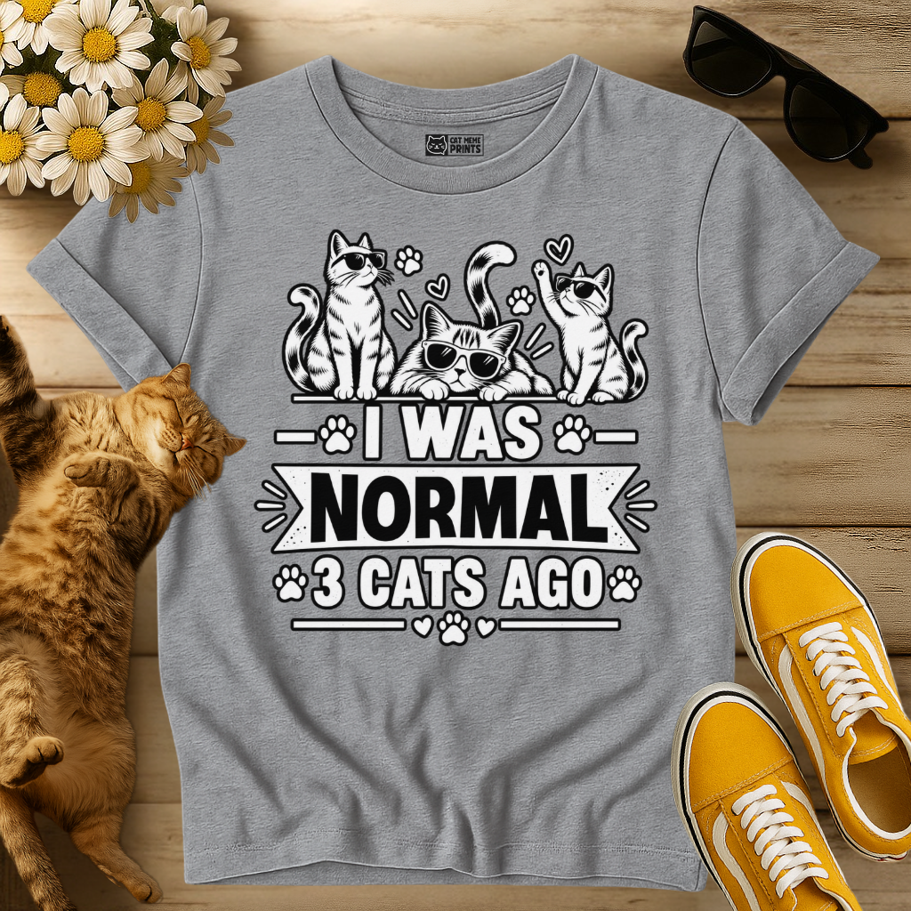 I Was Normal 3 Cats Ago T-Shirt