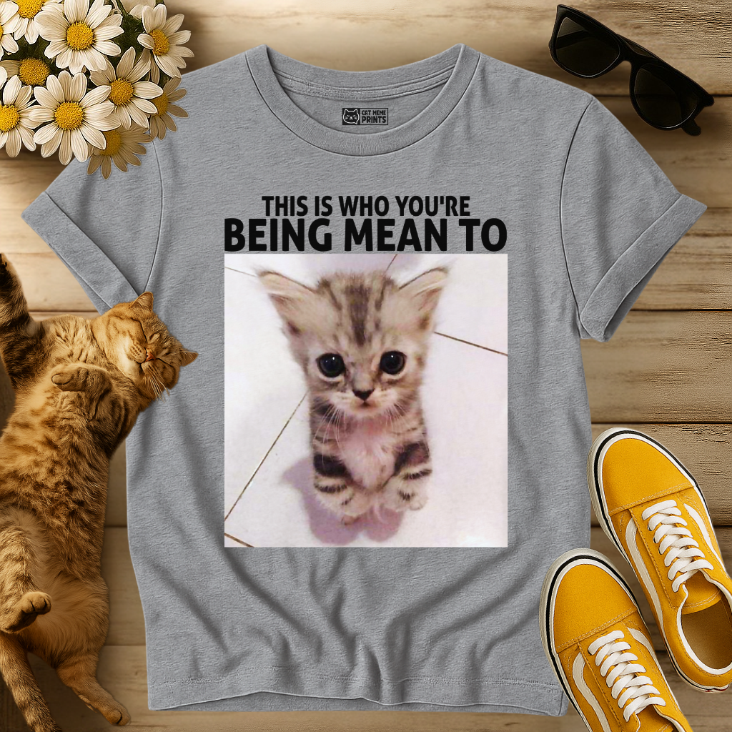 This Is Who You're Being Mean To T-Shirt