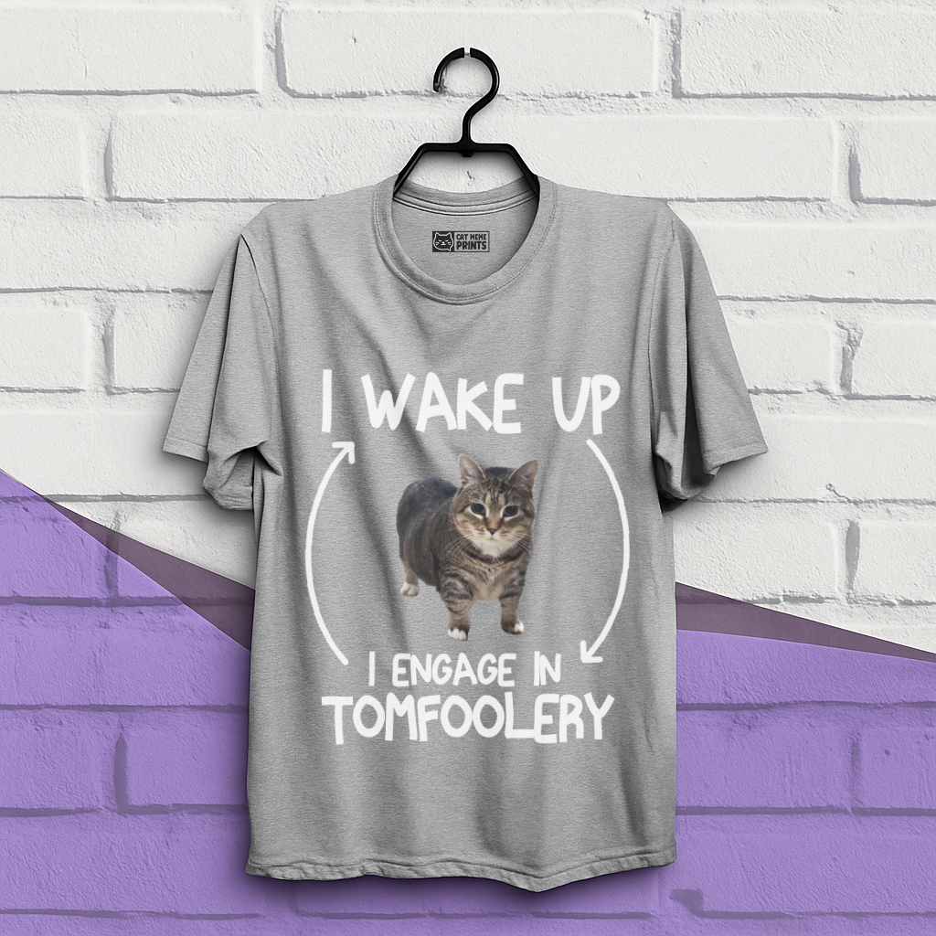 I Wake Up I Engage In Tomfoolery T-Shirt
