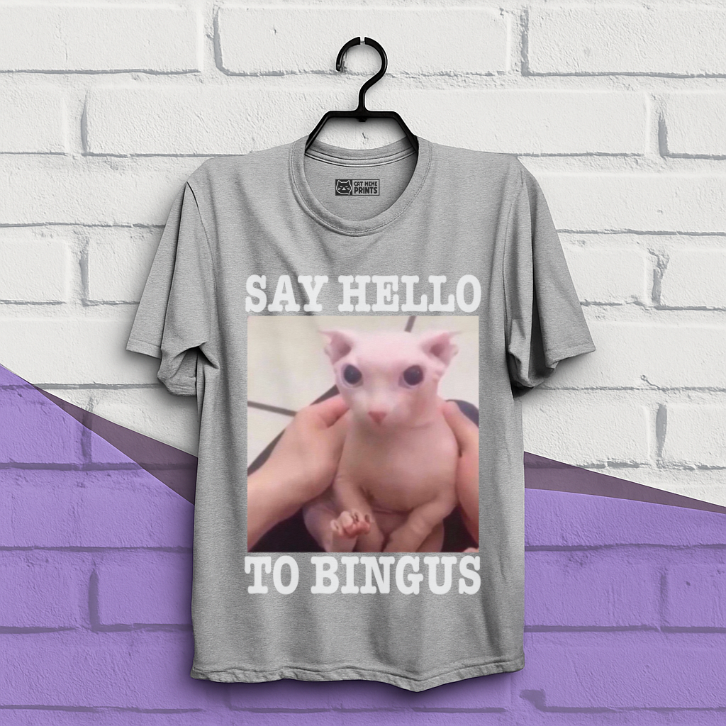 Say Hello To Bingus T-Shirt