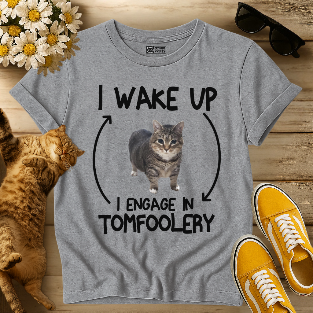 I Wake Up I Engage In Tomfoolery T-Shirt