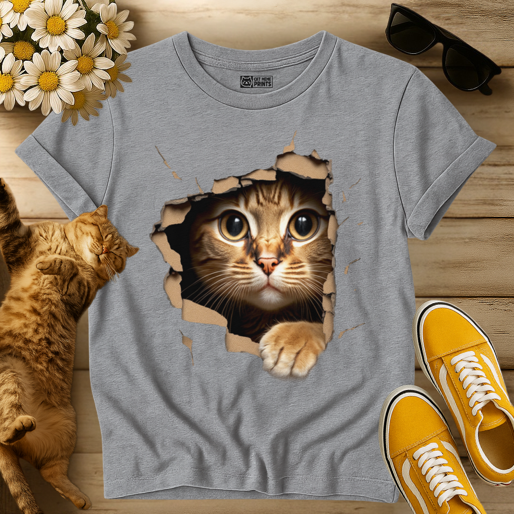 Cute Cat Looks From Torn Fabric T-Shirt