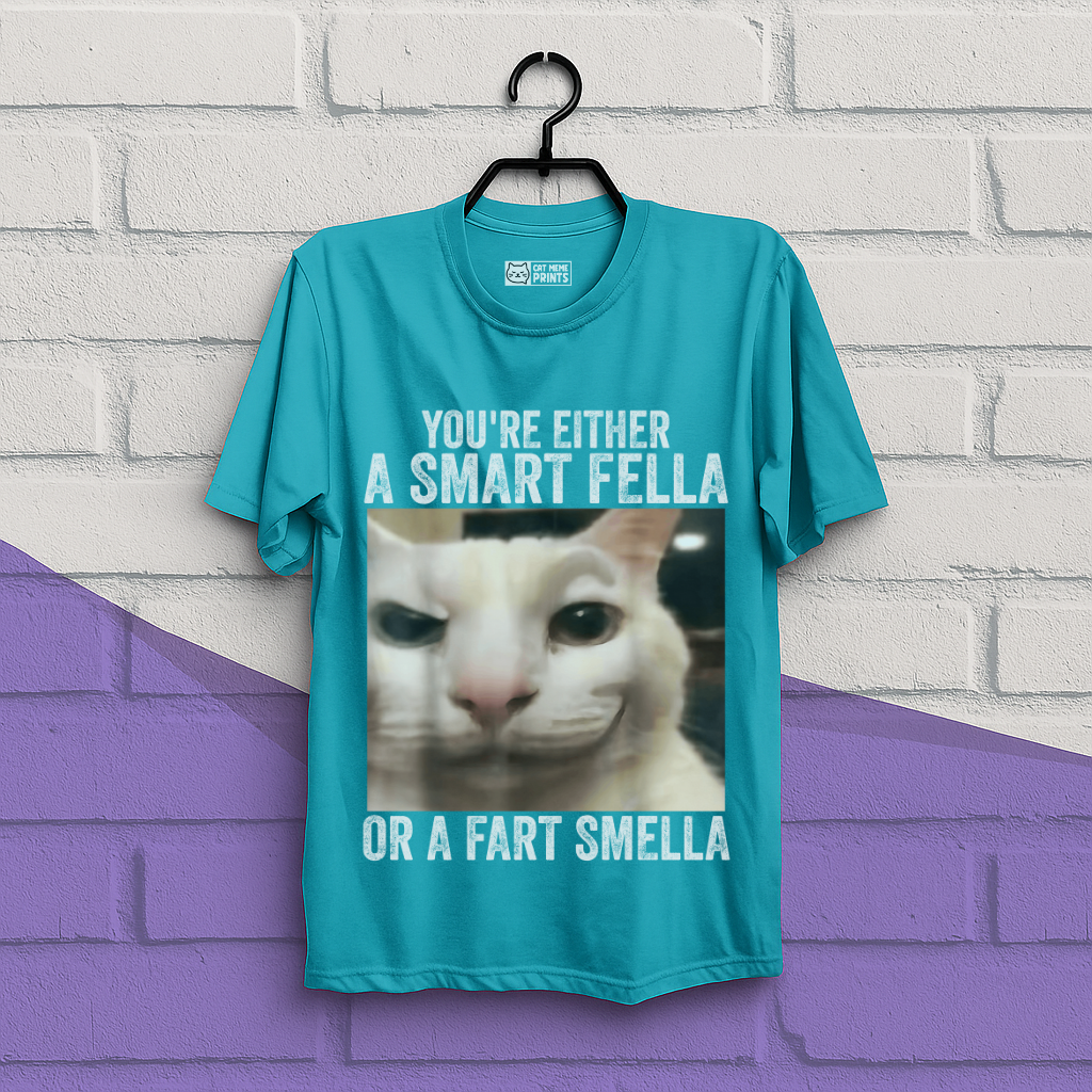 You're Either a Smart Fella or a Fart Smella T-Shirt