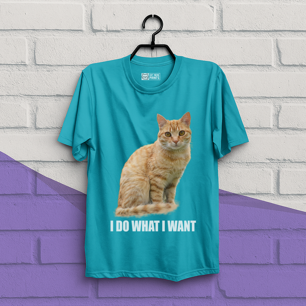 I Do What I Want T-Shirt