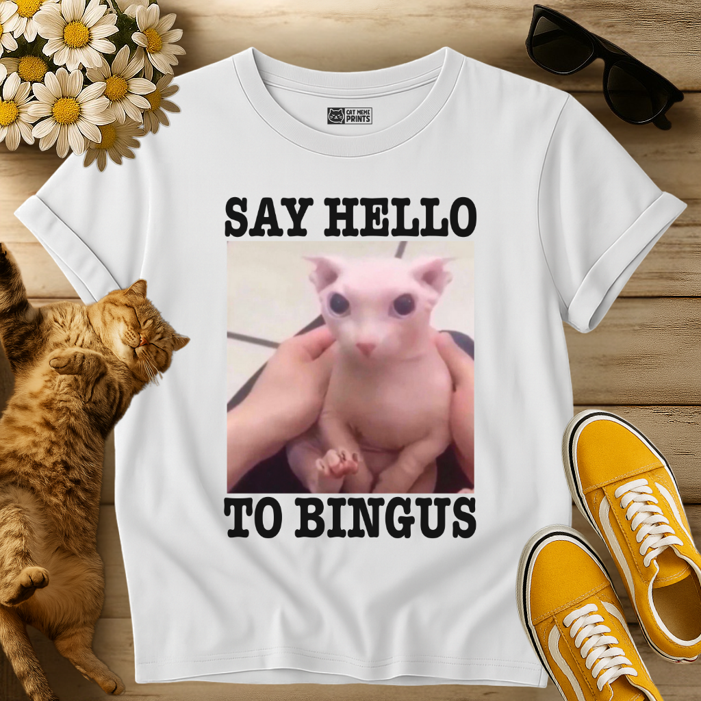 Say Hello To Bingus T-Shirt