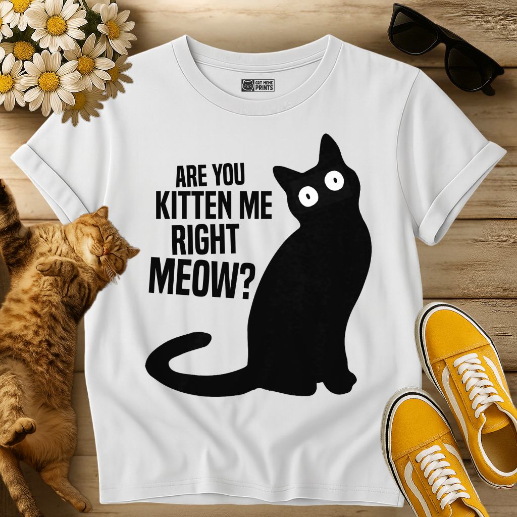 Are You Kitten Me Right Meow? T-Shirt