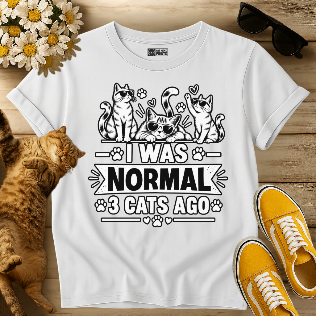 I Was Normal 3 Cats Ago T-Shirt