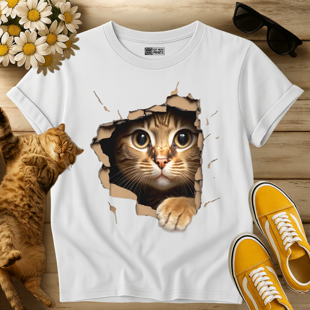 Cute Cat Looks From Torn Fabric T-Shirt