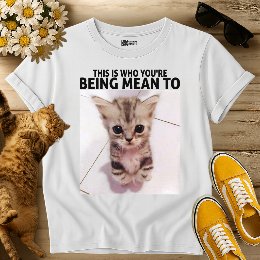 This Is Who You're Being Mean To T-Shirt